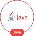 JAVA
