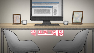 짝 프로그래밍